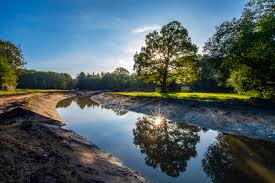 Afbeelding natuur